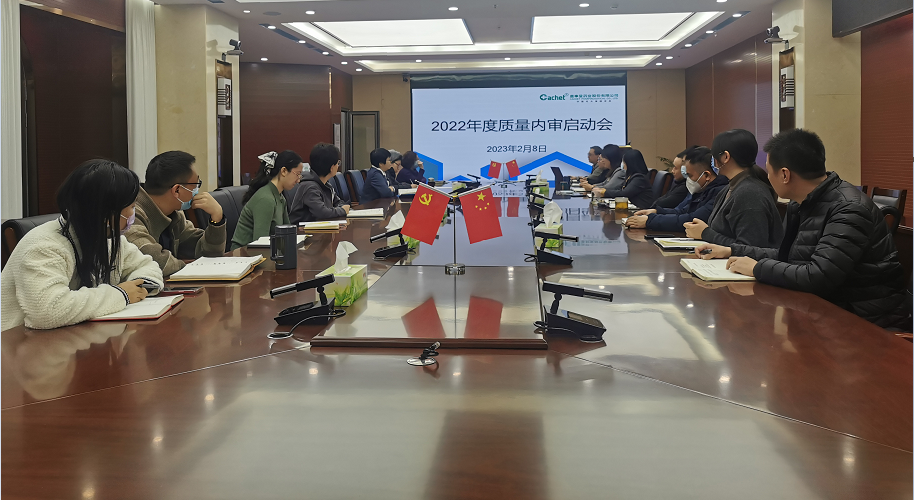 瓦力游戏召开2022年度质量内审启动会